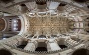 Phil Harbord - Cathedral Roof